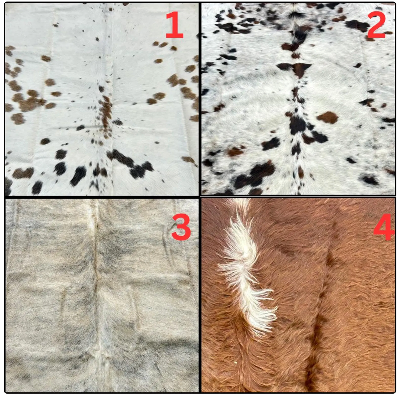 Cowhide samples for wedding picture frames